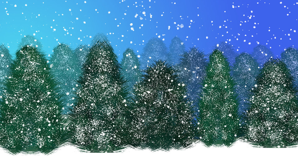 pine trees in snow