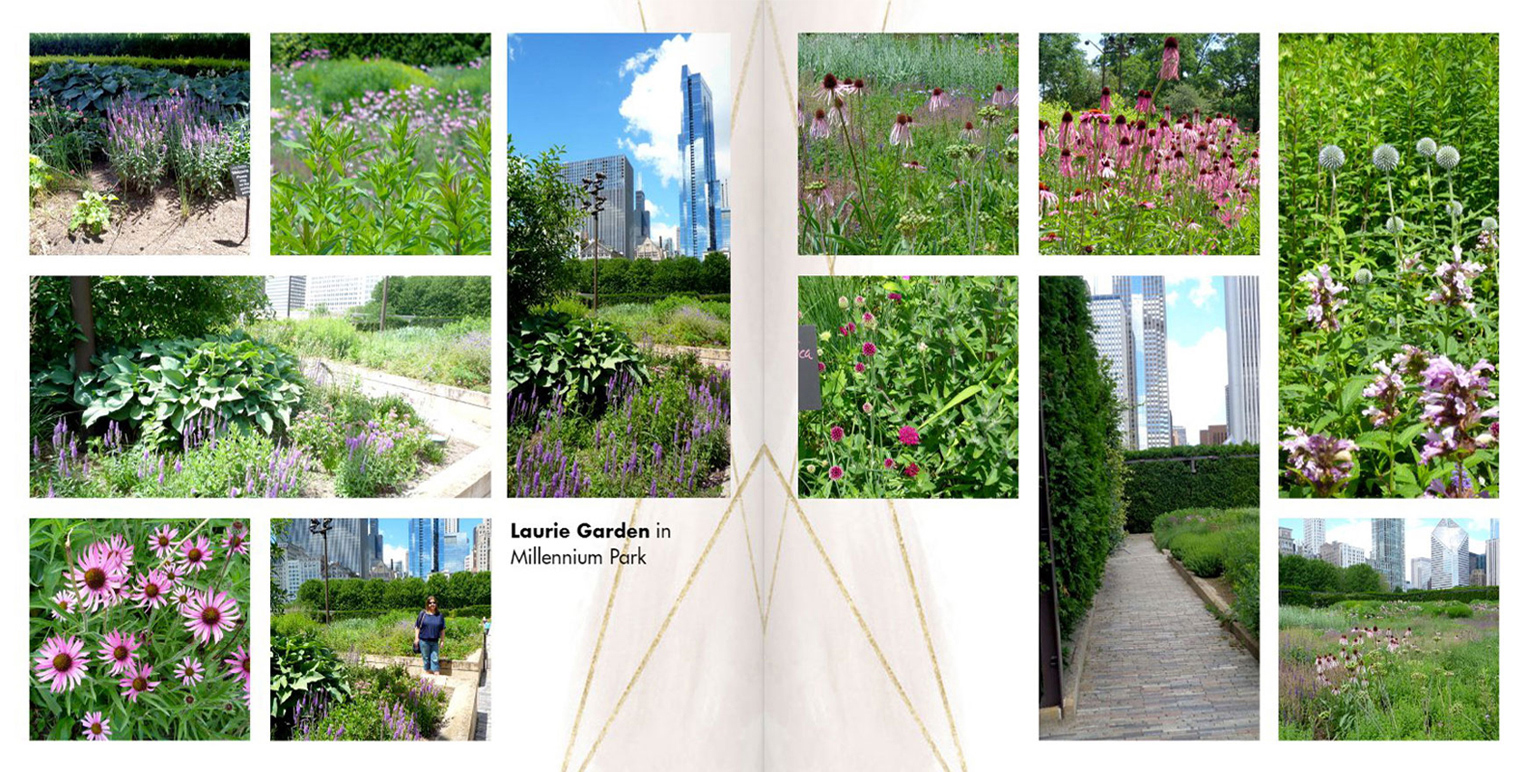 Garden pictures in photo album.